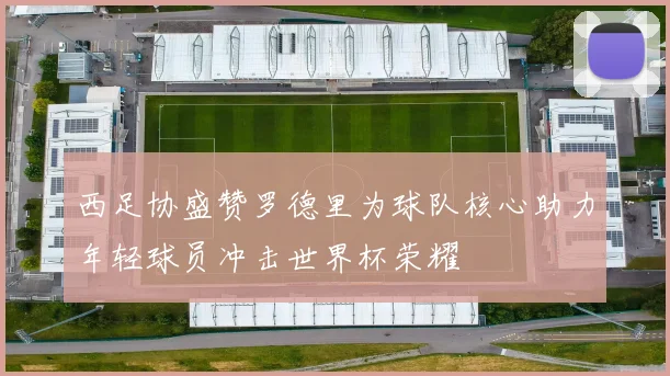 西足协盛赞罗德里为球队核心助力年轻球员冲击世界杯荣耀